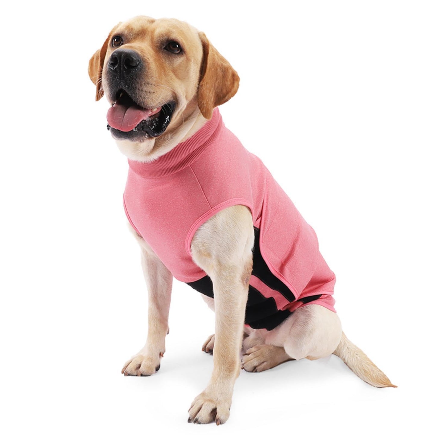PawPipie™ Calming Anxiety Vest for Dogs